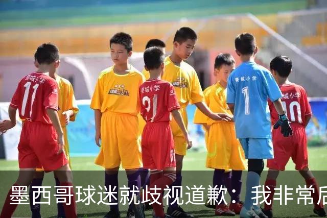 墨西哥球迷就歧视道歉：我非常后悔，已辞去工程师协会职务